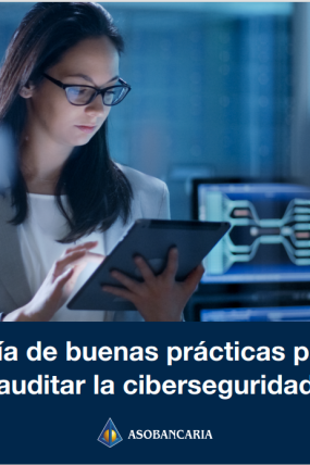 Guía de buenas prácticas para auditar la ciberseguridad