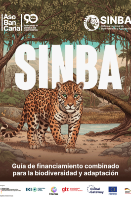 PORTADA-SINBA-FINAL