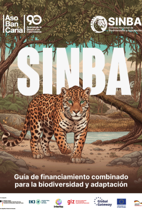 PORTADA-SINBA-FINAL